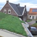 Hoe is groene dakbedekking duurzaam?
