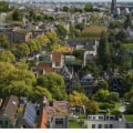 Hoe maken groene daken de stad duurzamer?
