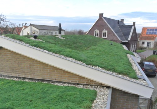 Hoe is groene dakbedekking duurzaam?